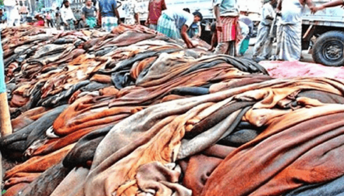 কাঁচা চামড়ার মূল্য নির্ধারণসহ রপ্তানির শর্ত শিথিল