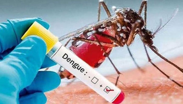 ডেঙ্গুতে আজও দুইজনের মৃত্যু, হাসপাতালে ভর্তি ১৫৯