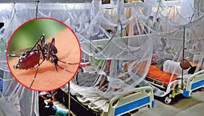 ২৪ ঘণ্টায় ডেঙ্গুতে আক্রান্ত ২৪৯, মৃত্যু একজনের