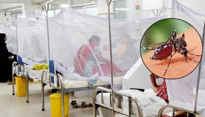 ডেঙ্গু আক্রান্ত হয়ে আরও ৪২৯ জন হাসপাতালে